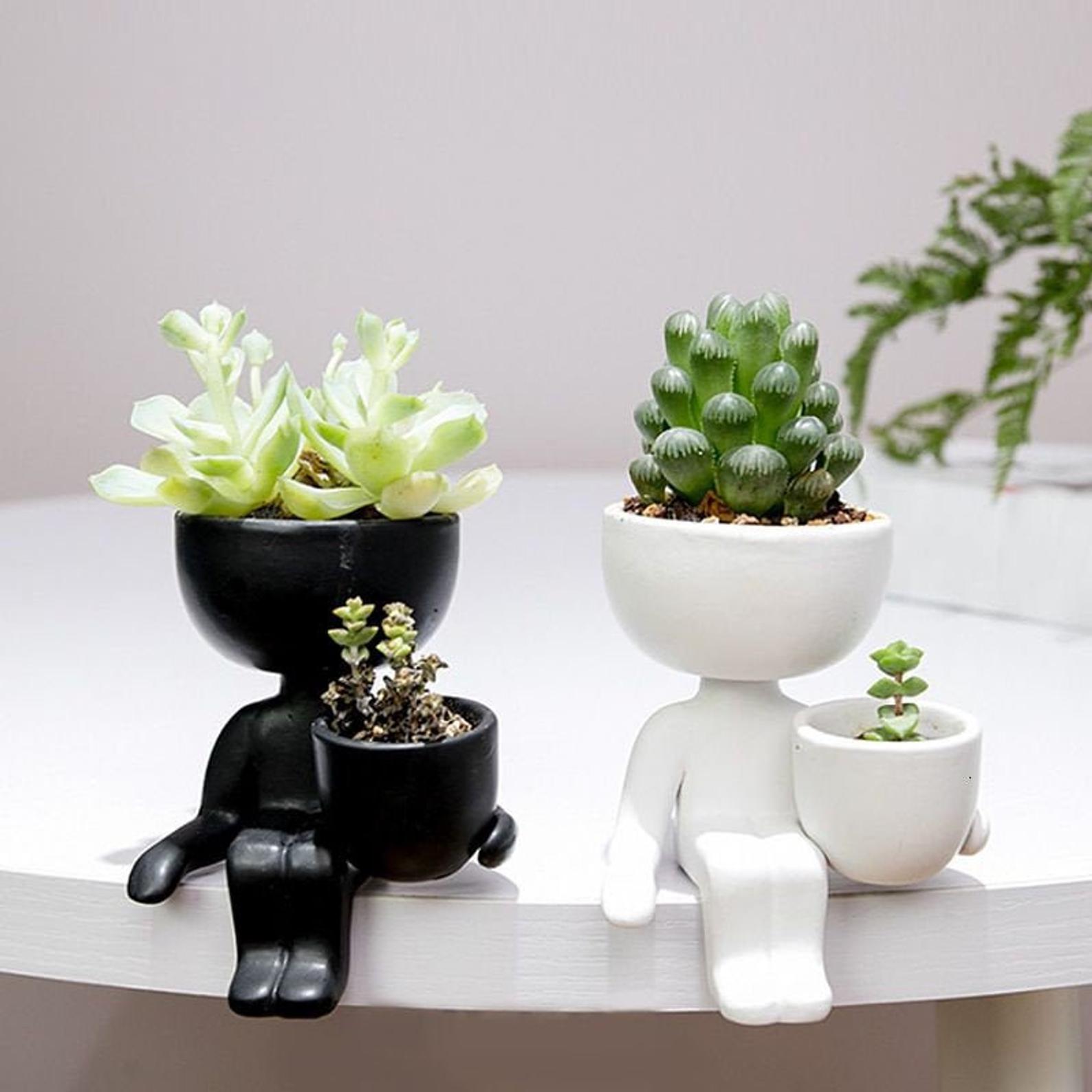 18 Cute Succulent Pots That Nobody Can Resist | Relaxing Decor