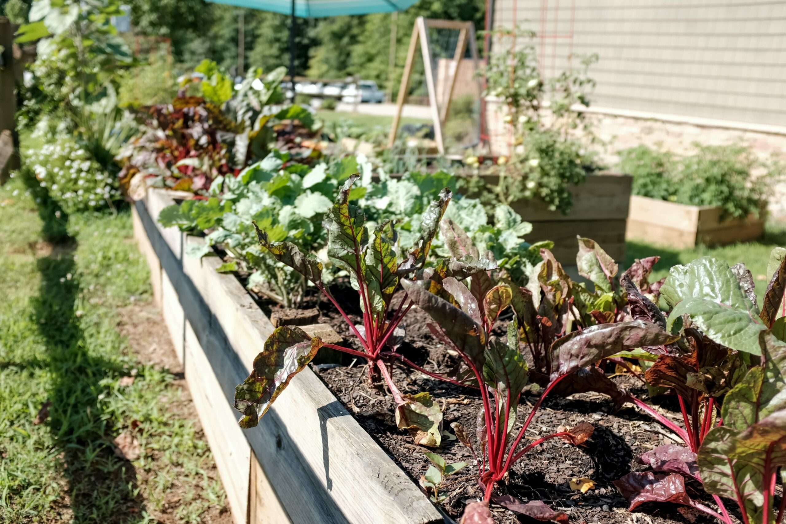 16 Gardening Hacks to Help Indoor & Outdoor Plants Thrive